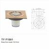 TY-F1001