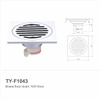 TY-F1043